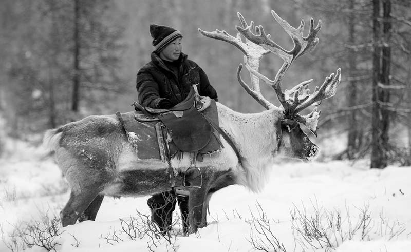 reindeer people photos 